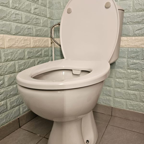 photo SIMPLY Concept WCConcept wc japonais forme O abattant adaptable sans électricité